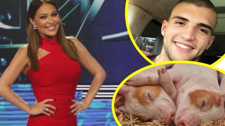 Цеца Величкович