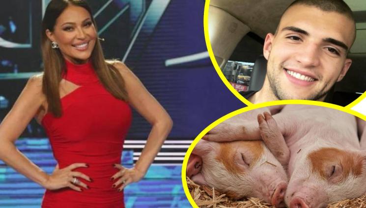 Цеца Величкович - ТУРБОФОЛК И ГРУХ-ГРУХ: Синът на Цеца Величкович става в 4 и гледа прасета! (СНИМКИ+ВИДЕО)