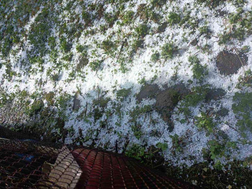 След силната буря с градушка в сряда вечерта - започна