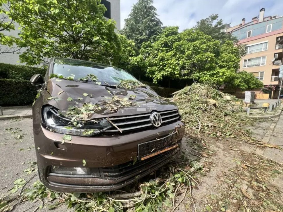 инцидент редута