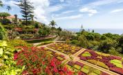 Саудитският принц строи най-голямата ботаническа градина в света