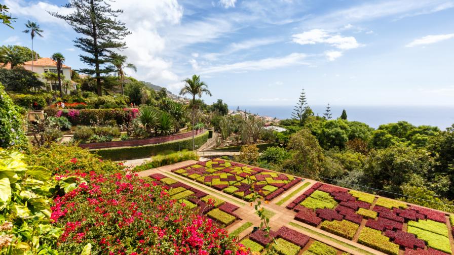 Саудитският принц строи най-голямата ботаническа градина в света