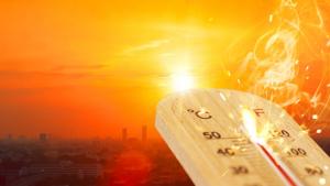 Прогноза: Очаква се лятото на 2024 г. да бъде едно от най-горещите през последните години