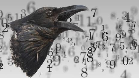 врана числа