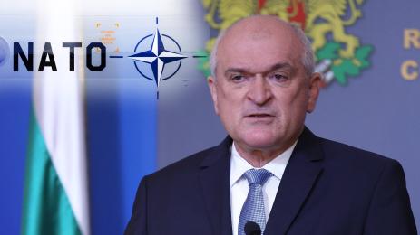 димитър главчев