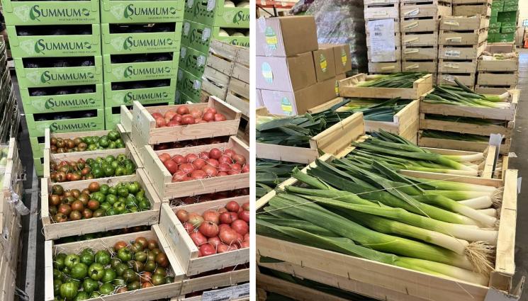 зеленчуци - Агро Телеграф: Франция е шампионът на Европа в биоземеделието