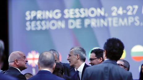 Парламентарна асамблея на НАТО