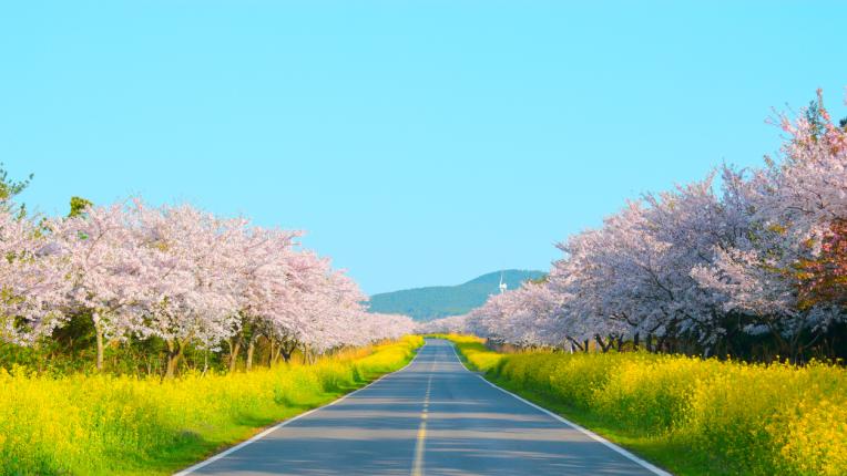  5 неща, които ще ви впечатлят на остров Джеджу - южнокорейските Хаваи 