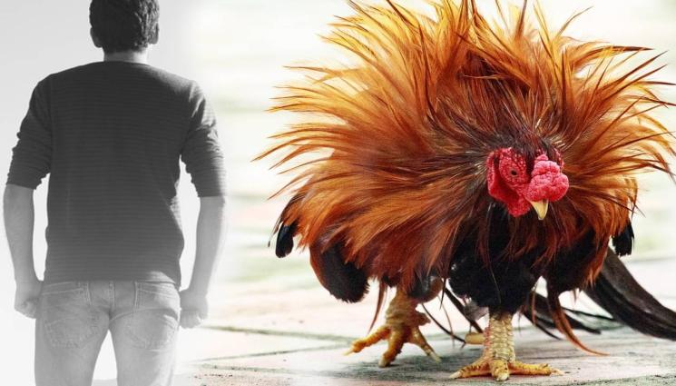 пиле - СЛЕД СЛУЧАЯ С КРАВИТЕ: Извратеняк изнасили пиле!