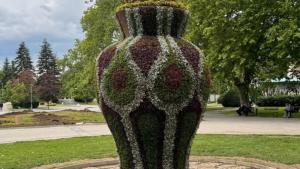цветна ваза Русе