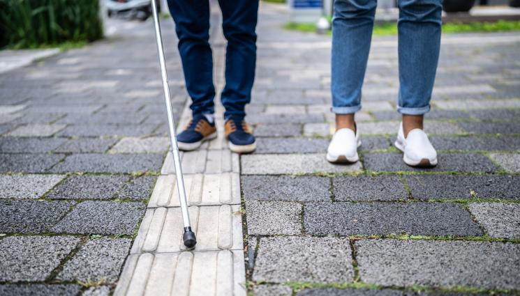 незрящи - НЯМАЛО ПОДХОДЯЩ ДОМ ЗА ТЯХ: Незрящо семейство остава на улицата!