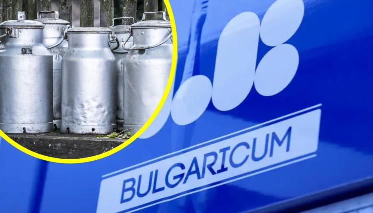 Ел Би - СВЕТКАВИЧНО: Удариха