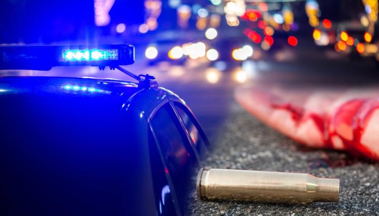 убийство - КЪРВАВА ВЕСЕЛБА: Убийство по време на събор!