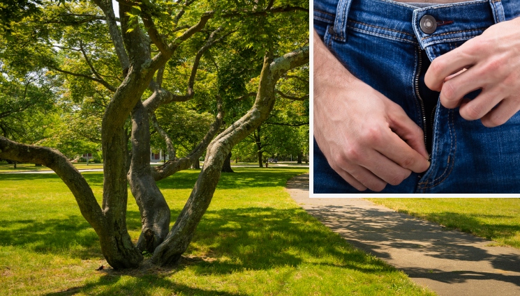 MYV - ХВАНАТ В КРАЧКА: Мъж се самозадоволява в столичен парк! (СНИМКА)