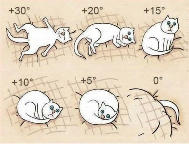 практични съвети