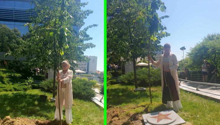 Ели Скорчева - Ели Скорчева: На