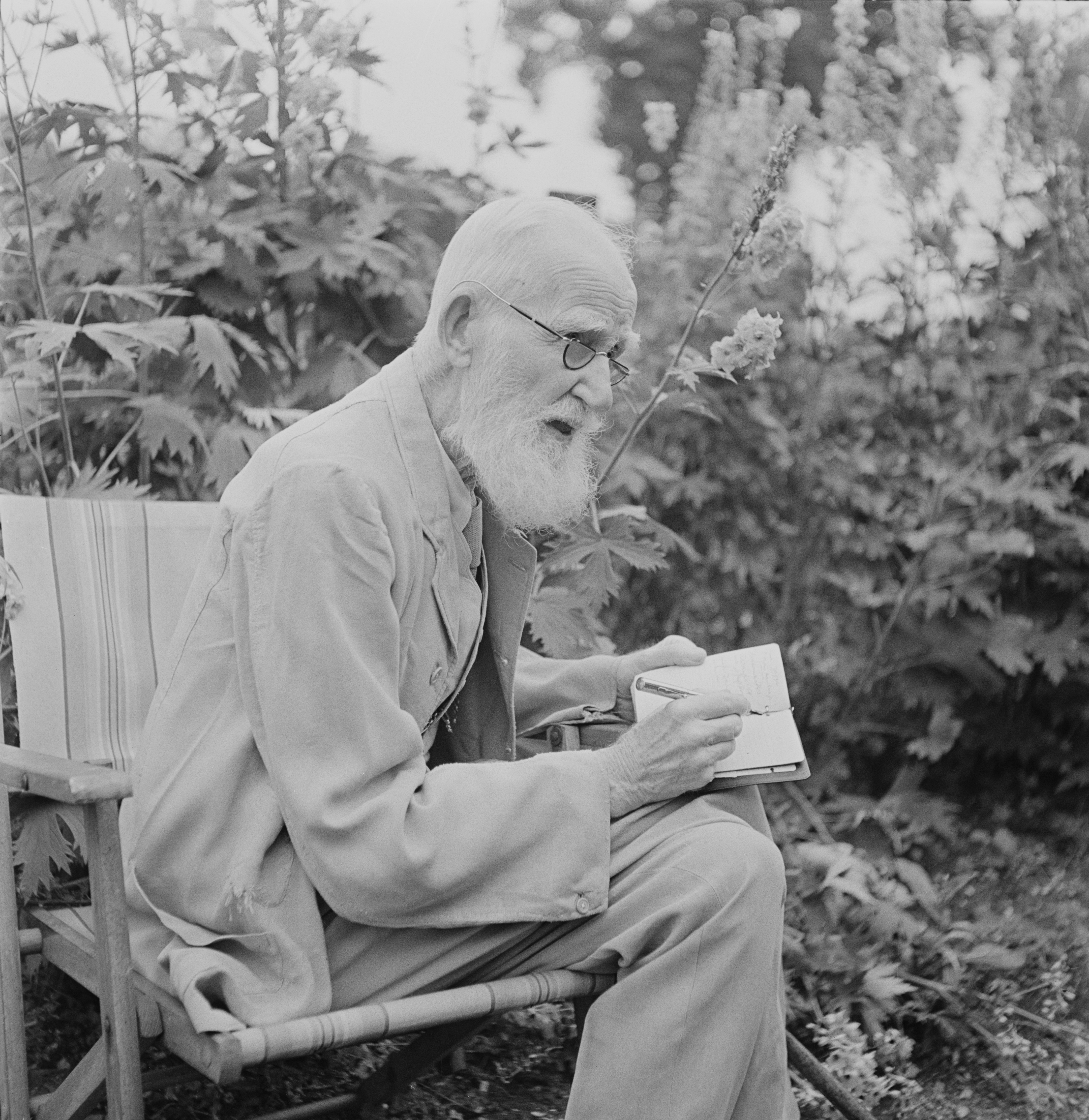 Бърнардд Шоу