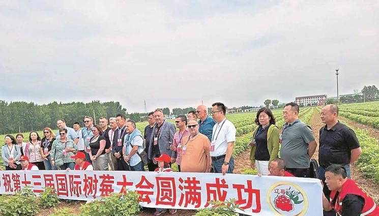 агро - Агро Телеграф: Показваме в Китай комбайни за малини