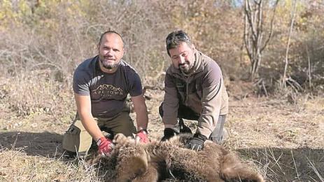 Владимир Димитров