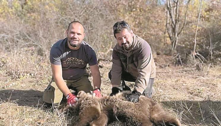 Владимир Димитров - Агро Телеграф: Доц. д-р Владимир Тодоров: Мечки нападат сливи и кошери от глад, заради сушата