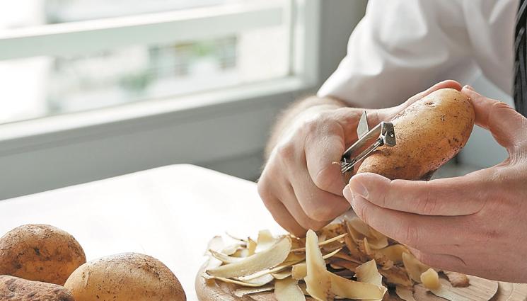 картофи - Агро Телеграф: Отглеждаме картофи от обелки