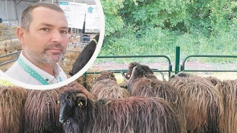 Тодор Диклиев