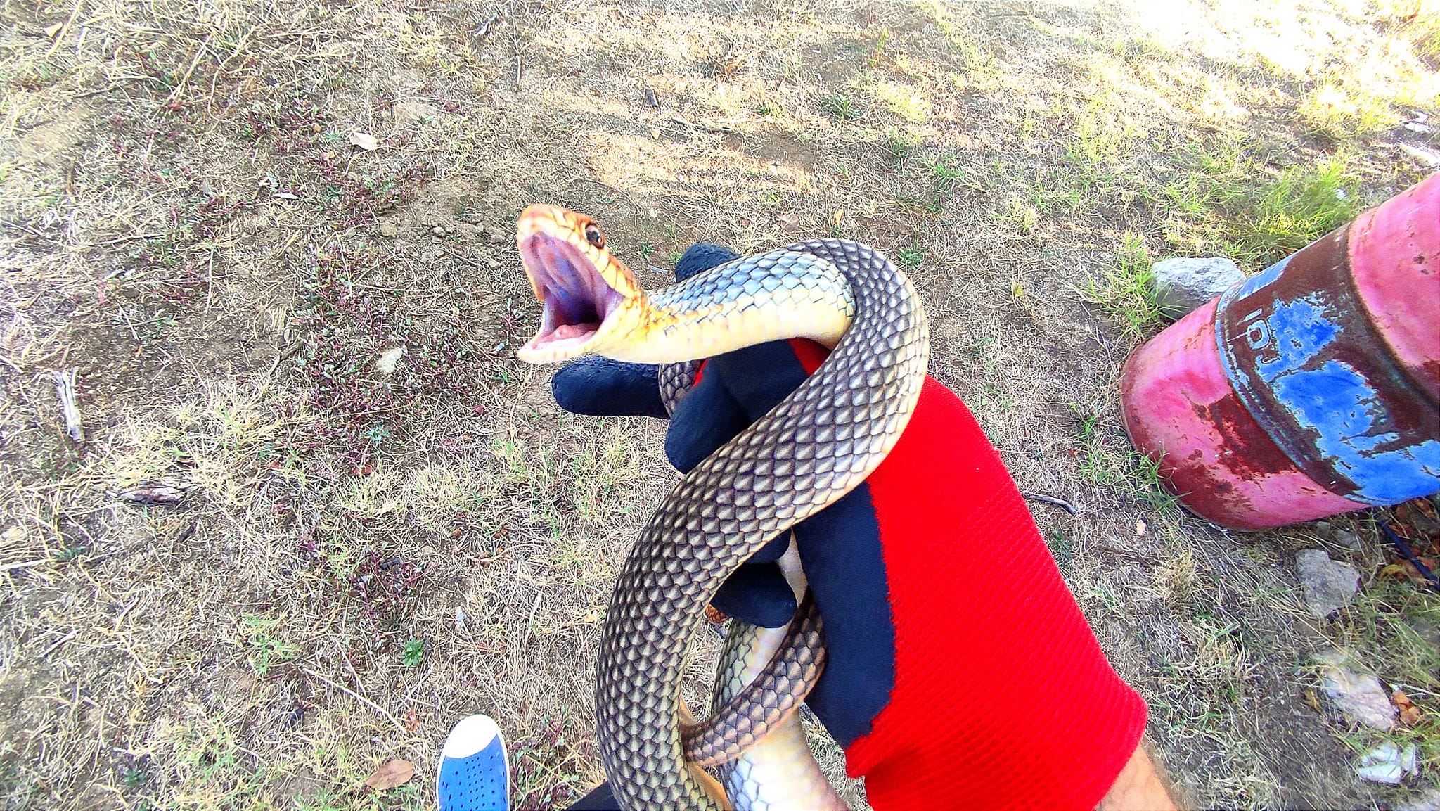 земеделец ловец