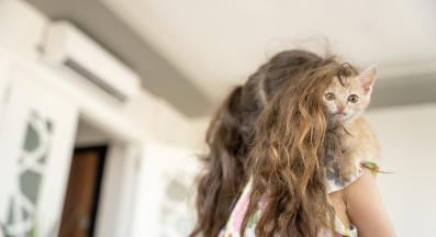 домашна котка