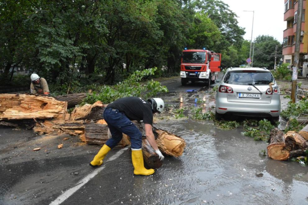 Дърво се пречупи и голям клон от него падна върху