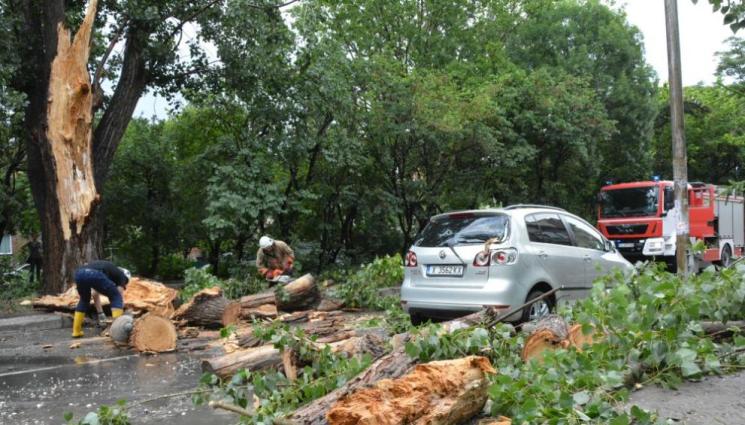 буря - СЛЕД ЖЕСТОКА БУРЯ: Огромно дърво падна върху коли!
