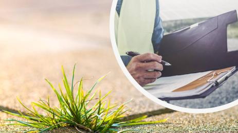 трева глоба акт