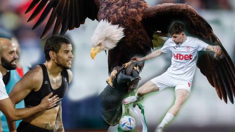 Симеон Василев Педриньо Лудогорец