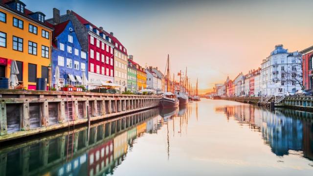 Копенхаген става град гъба: Какво е това и колко струва