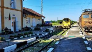 Бърз влак прегази двама работници на БДЖ в Плевенско Единият