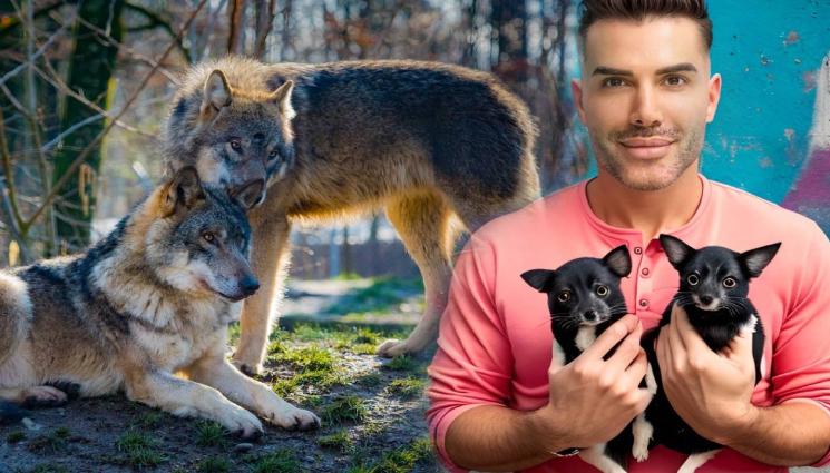 Евтени Евтимов - ВЕРНИ ДО ГРОБ: Ето кои животни избират спътника си за цял живот!