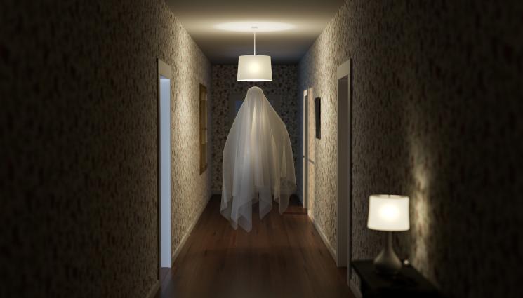 призрак - ТОП 10 на запечатаните паранормални явления! (СНИМКИ)