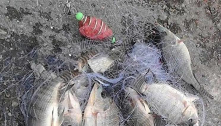 риби - В началото на риболовния сезон: Десантът на „парашутистите”