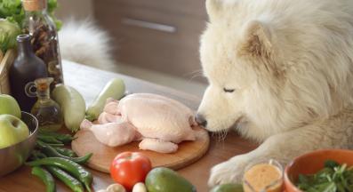 пиле с ориз