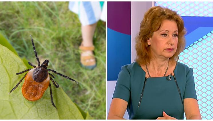 Ива Христова - Спряха изследванията в Националния център за заразни и паразитни болести