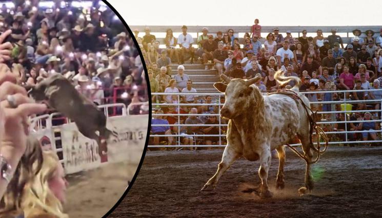 бик родео - БЕЗ НАСИЛИЕ: Мексико с нов закон за бикоборството
