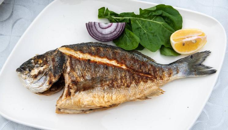 риба - Летни приключения с риба - неизменна част от лятната трапеза!