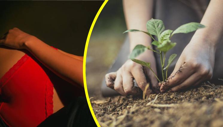 фарминг - Секссимвол стана отшелник! (СНИМКИ+ВИДЕО)