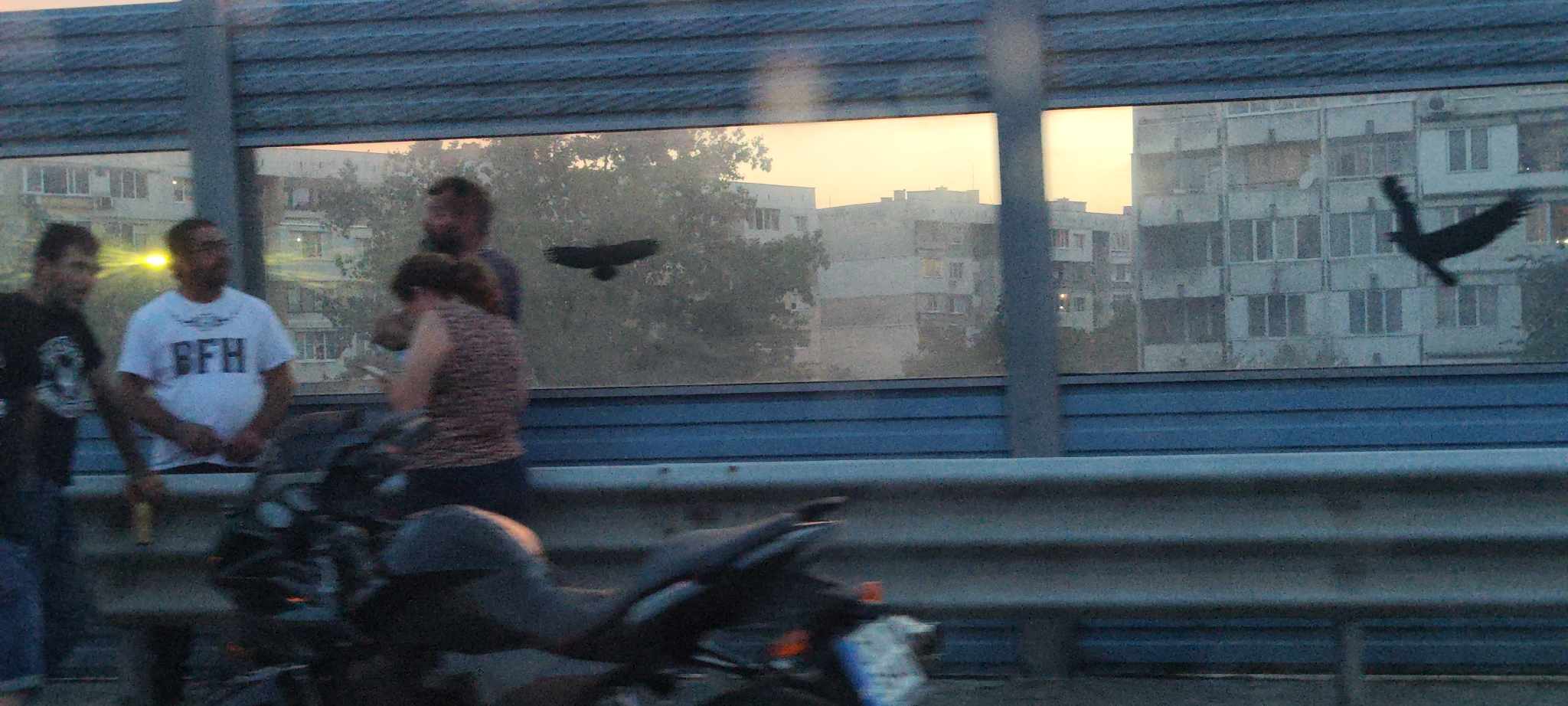 Брюксел полиция