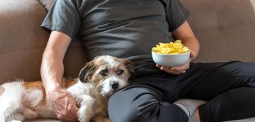 Защо не трябва да даваме на кучето си чипс
