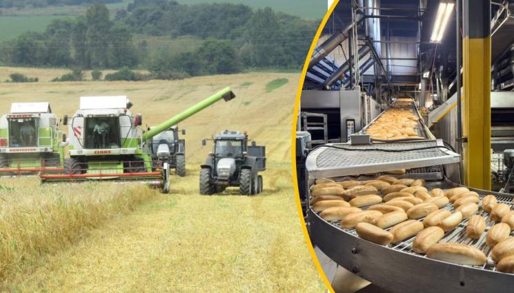 жътва хляб - ЖЪТВА Е! Ще скочи ли цената на хляба?