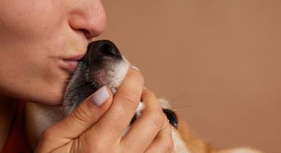 куче човек обич