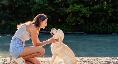 куче човек обич