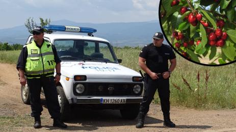 череши полиция