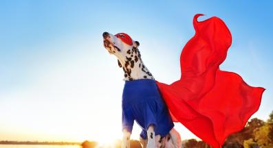 куче супергерой