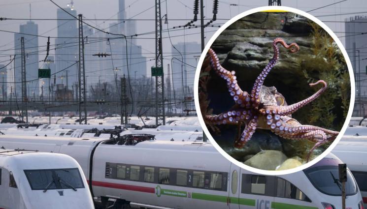 Евро 2024 - Влак сменя октопода Паул (ВИДЕО) 